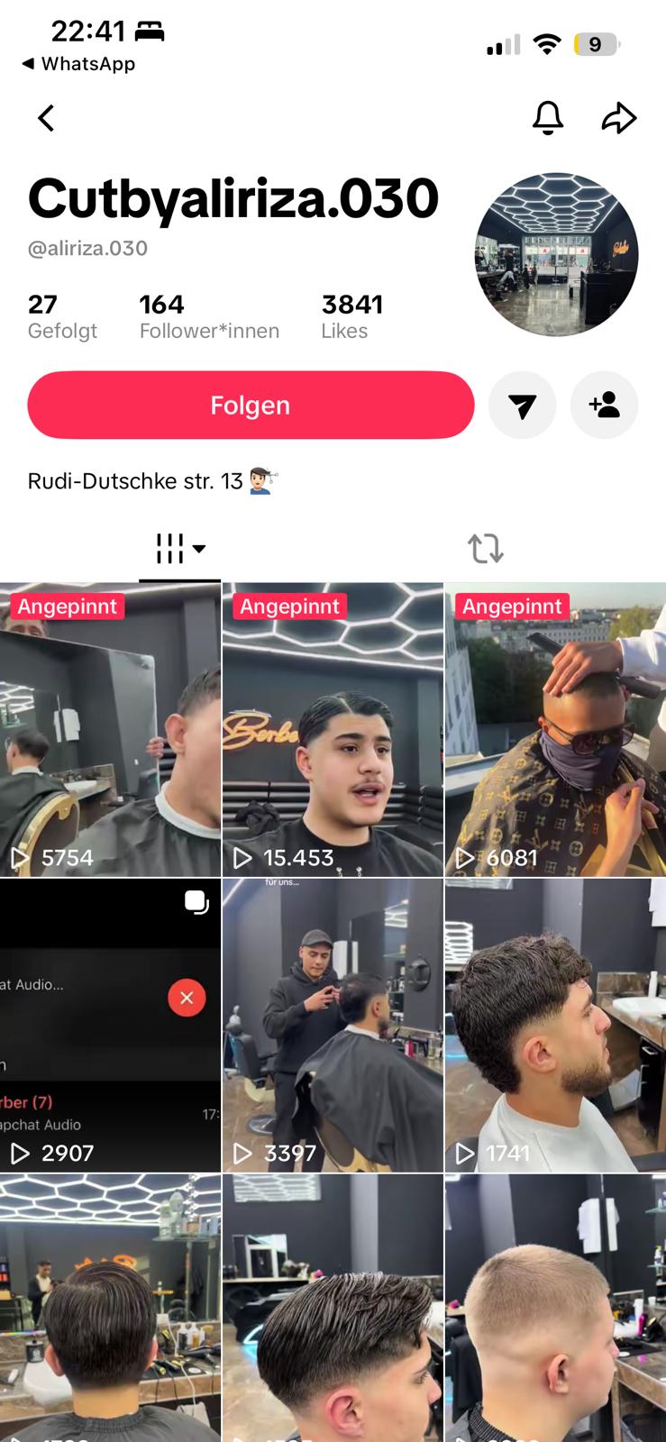 TikTok-Profil @aliriza.030